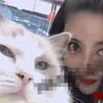 成都优山居小区出轨事件，不料男方回家躲窗外自由落体后续来了