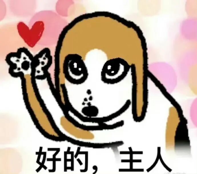 狗头萝莉吐槽网友太严格,如果当初自己真M,现在得有千万存款,可自己不是那种人,如今又穷还被骂!