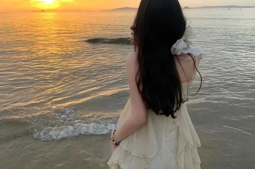 打赏