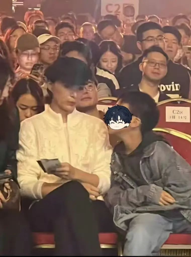 董卿与子共赴刘谦演出,气质温婉成焦点